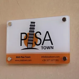 Town Pisa